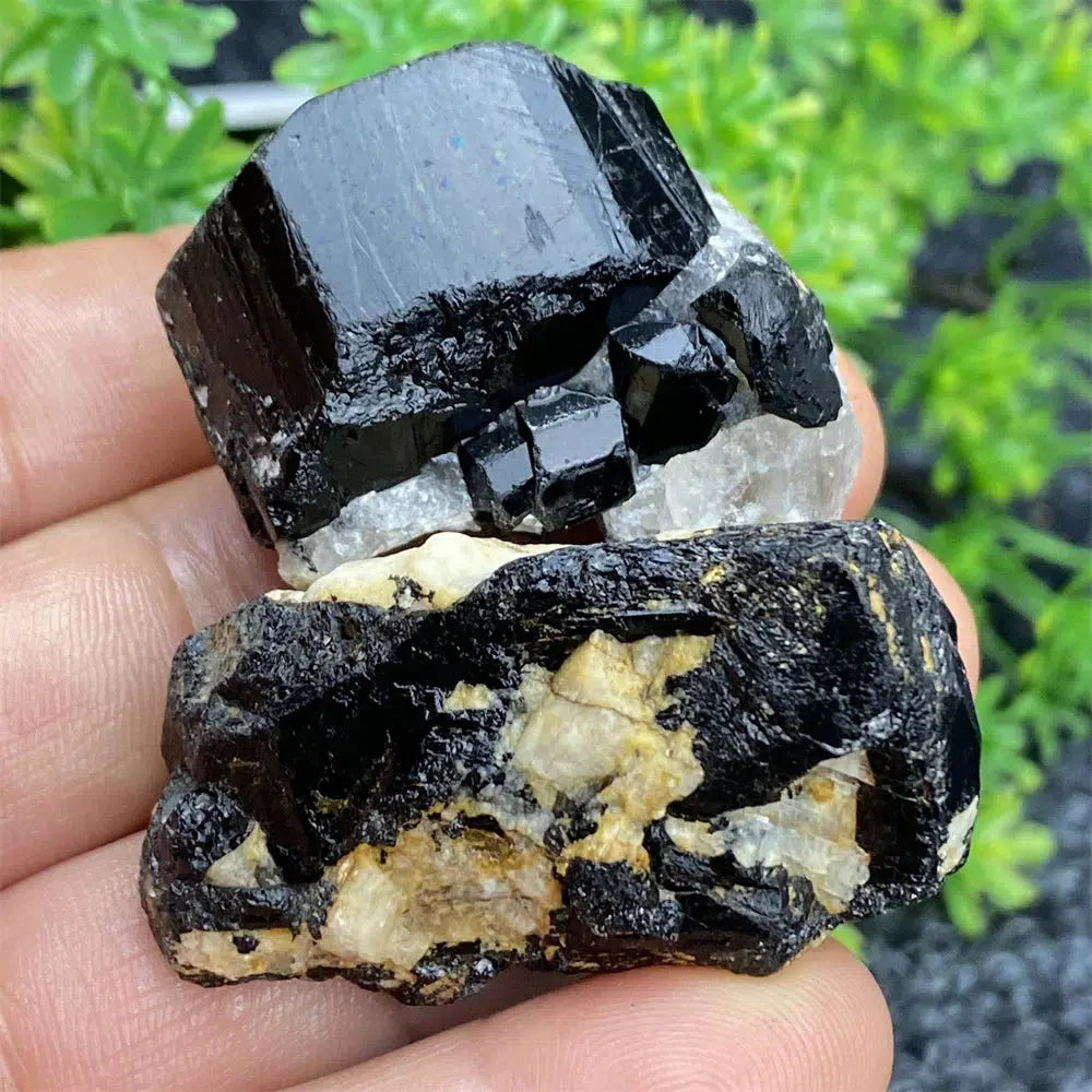 Black Tourmaline Raw Specimen