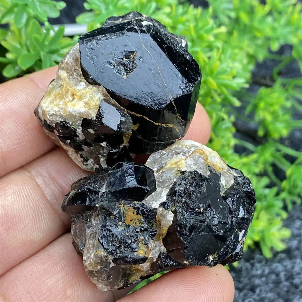 Black Tourmaline Raw Specimen