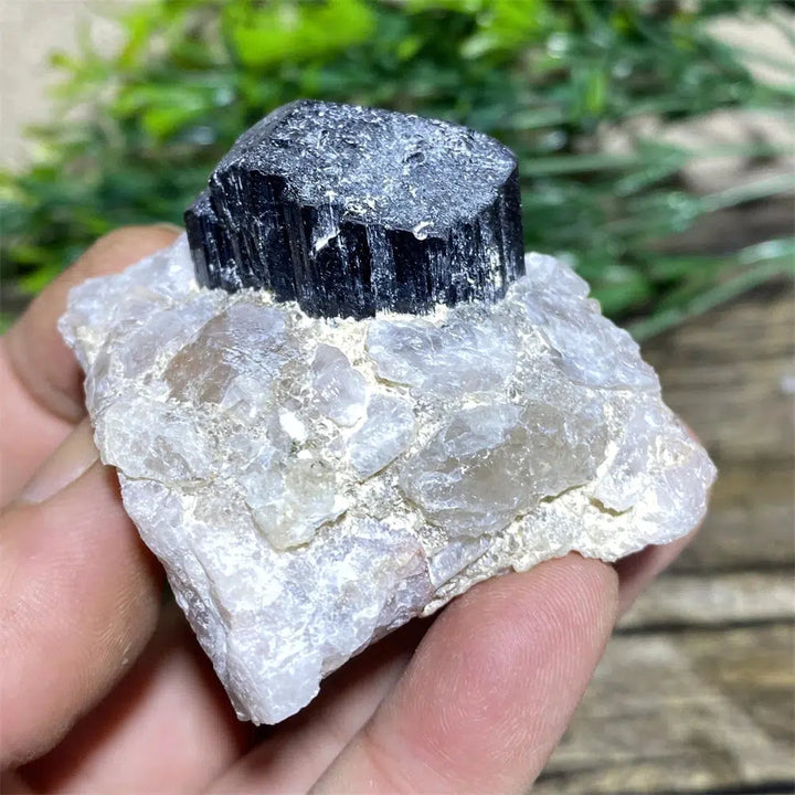 Black Tourmaline on Matrix Rock