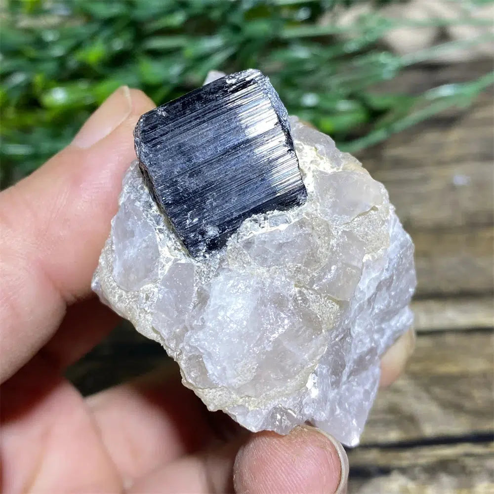 Black Tourmaline on Matrix Rock