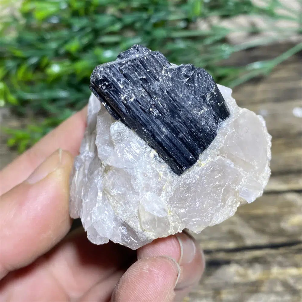 Black Tourmaline on Matrix Rock