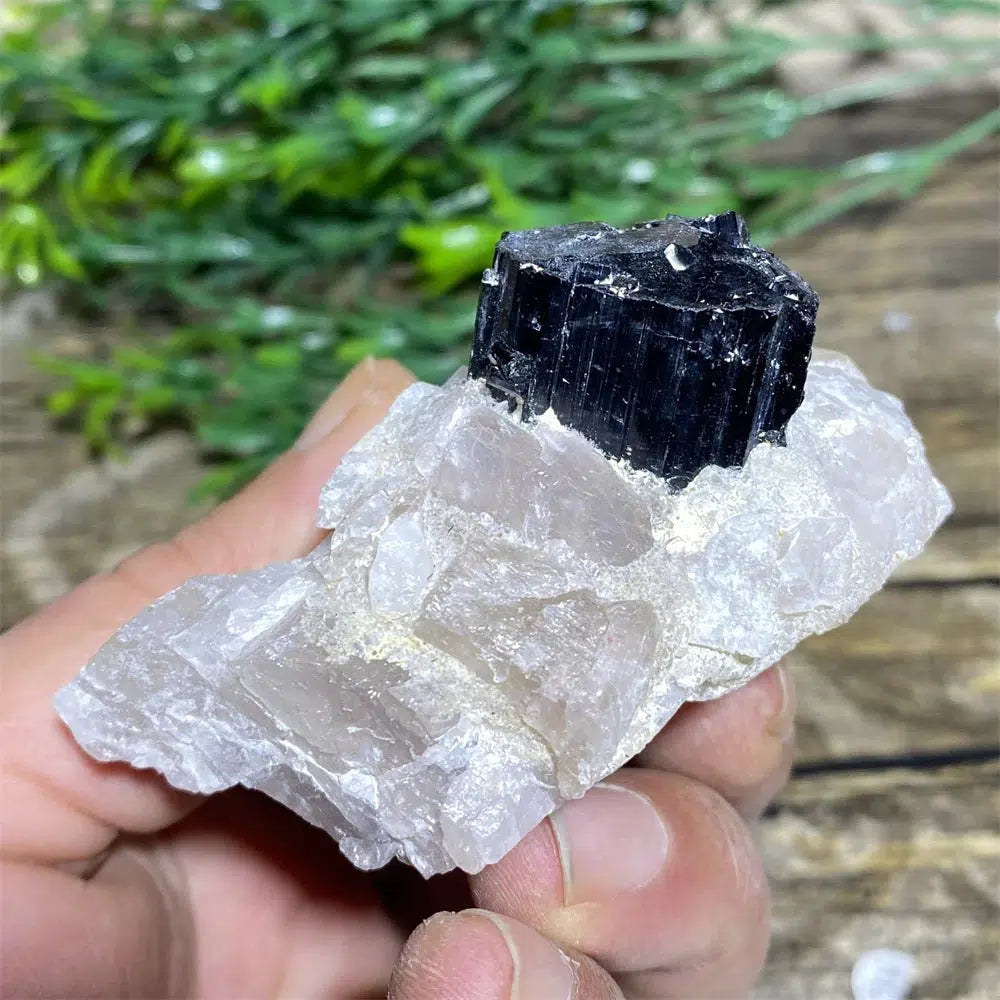 Black Tourmaline on Matrix Rock