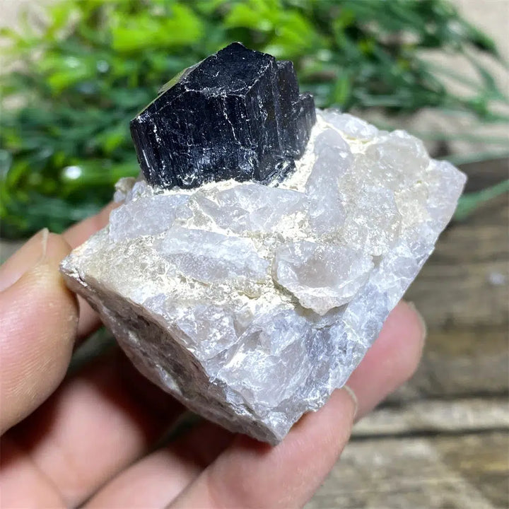 Black Tourmaline on Matrix Rock