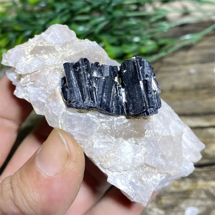 Black Tourmaline on Matrix Rock