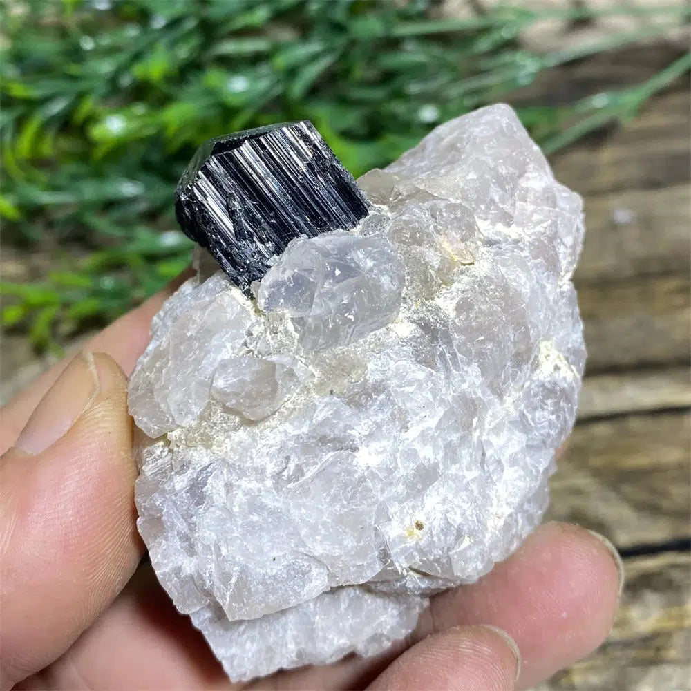 Black Tourmaline on Matrix Rock