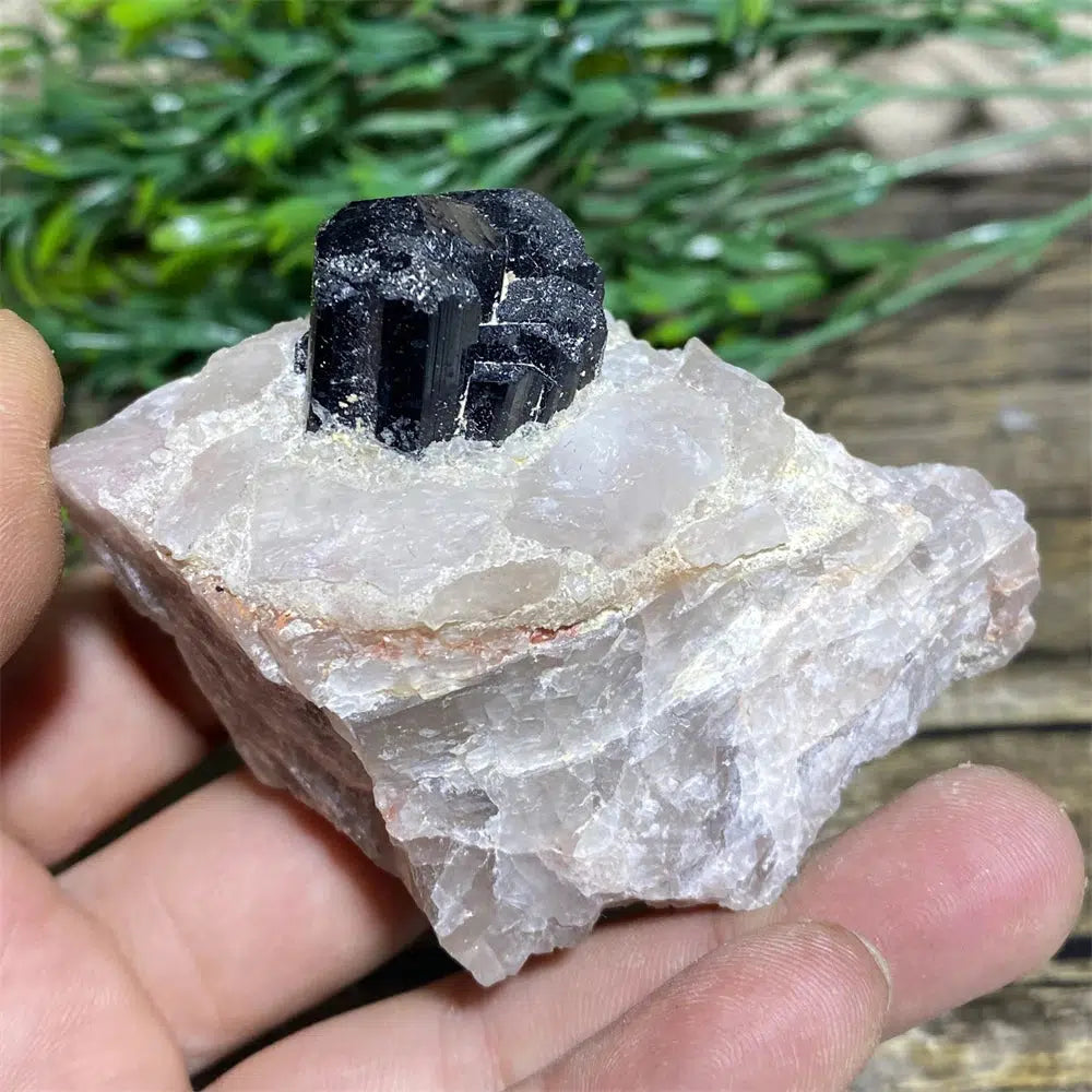 Black Tourmaline on Matrix Rock