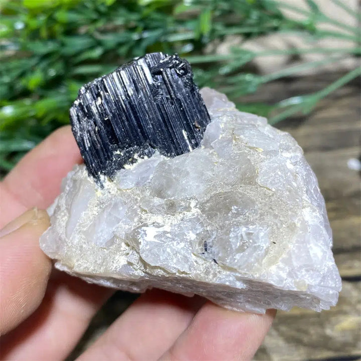 Black Tourmaline on Matrix Rock