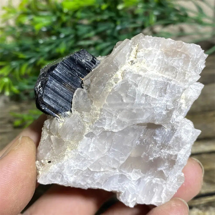 Black Tourmaline on Matrix Rock