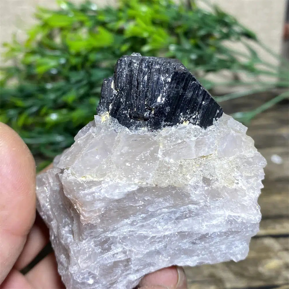 Black Tourmaline on Matrix Rock