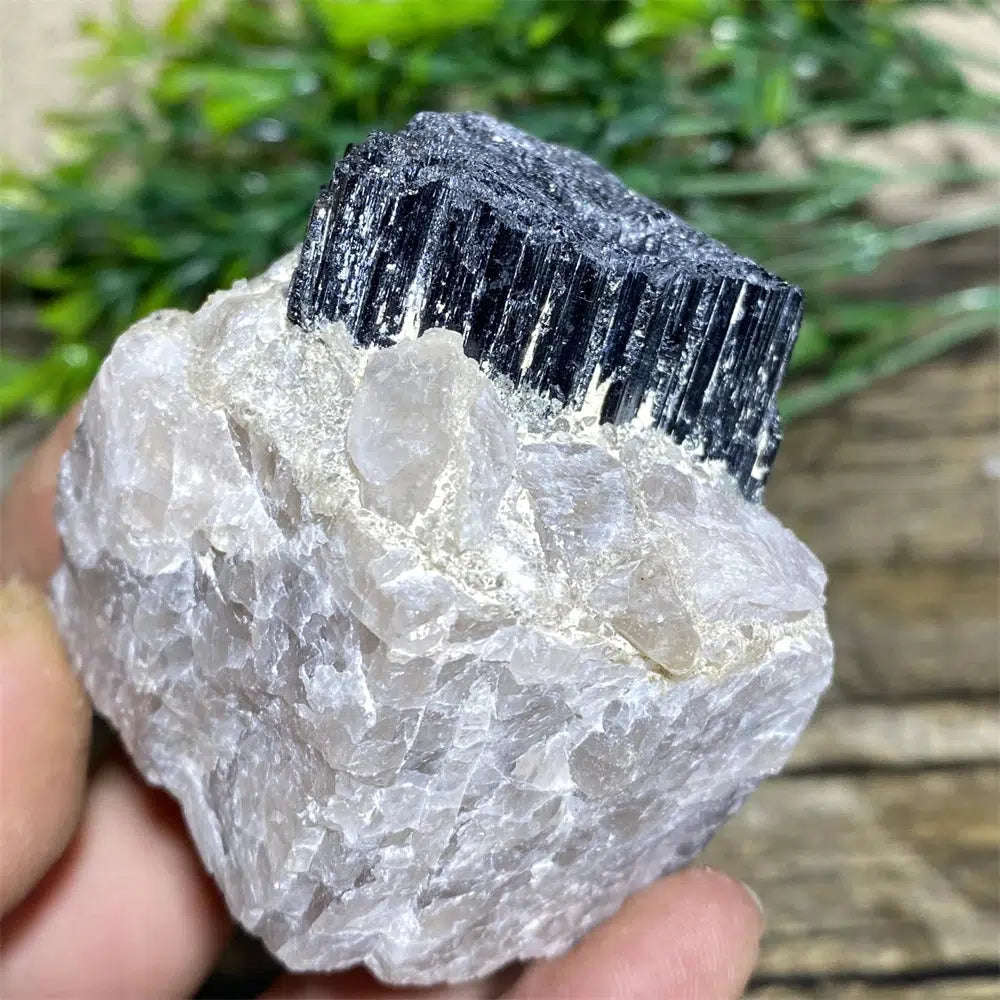 Black Tourmaline on Matrix Rock