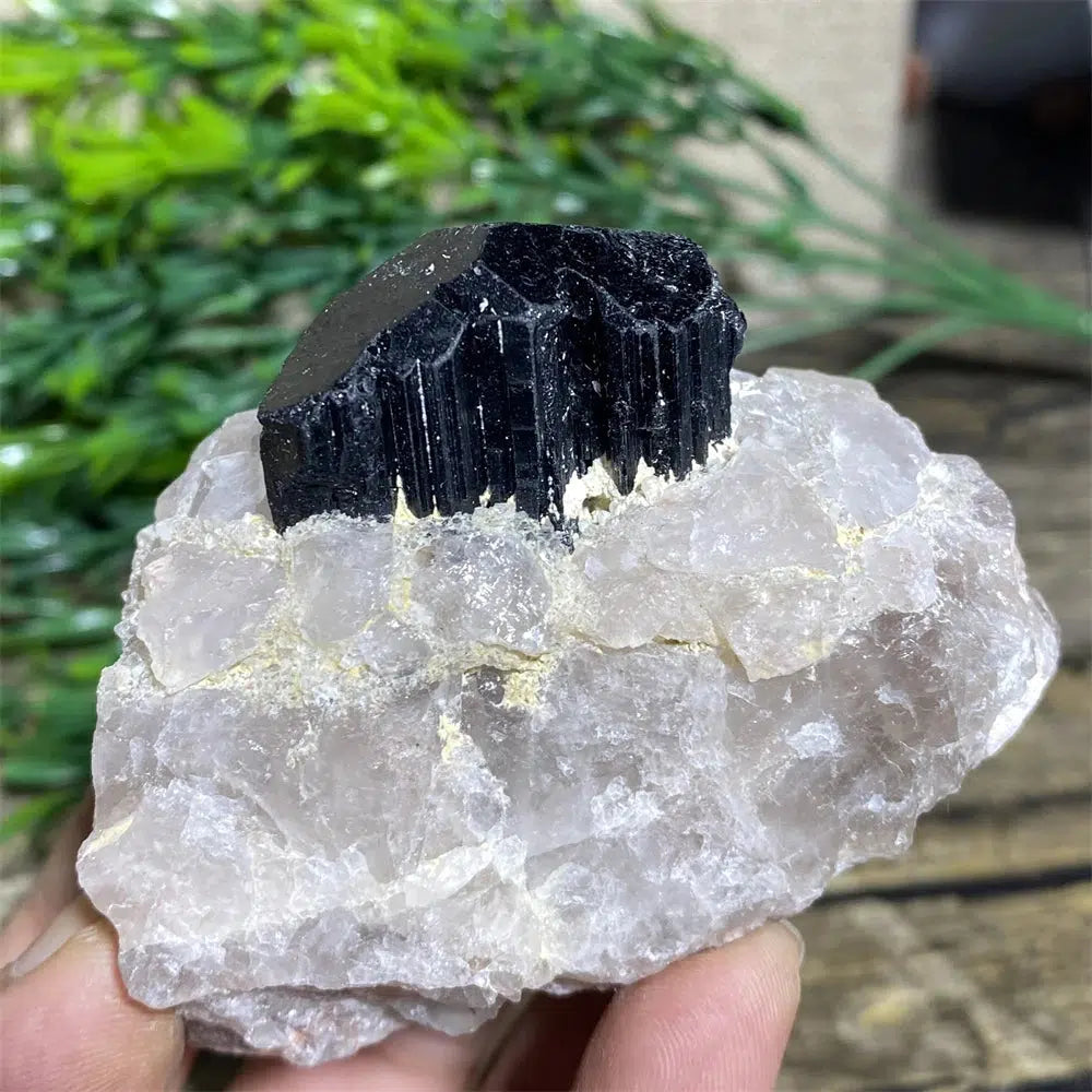 Black Tourmaline on Matrix Rock