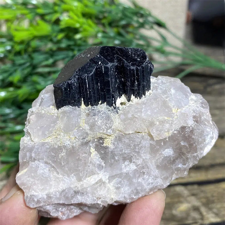 Black Tourmaline on Matrix Rock