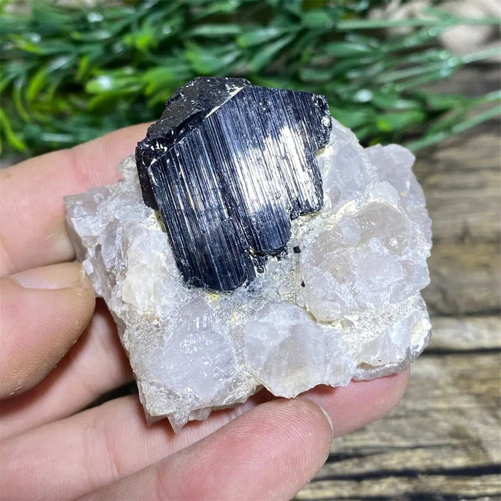 Black Tourmaline on Matrix Rock