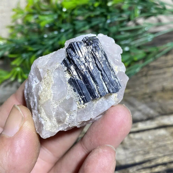 Black Tourmaline on Matrix Rock