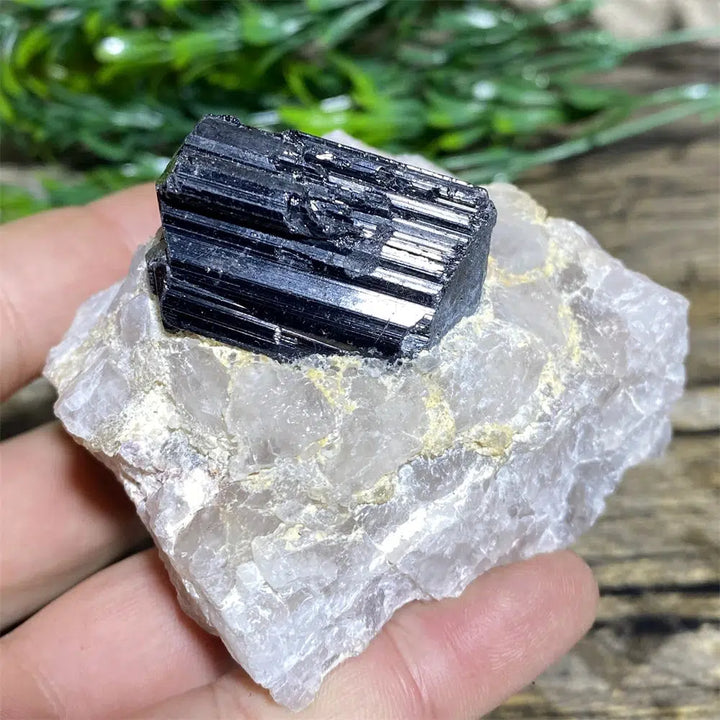 Black Tourmaline on Matrix Rock