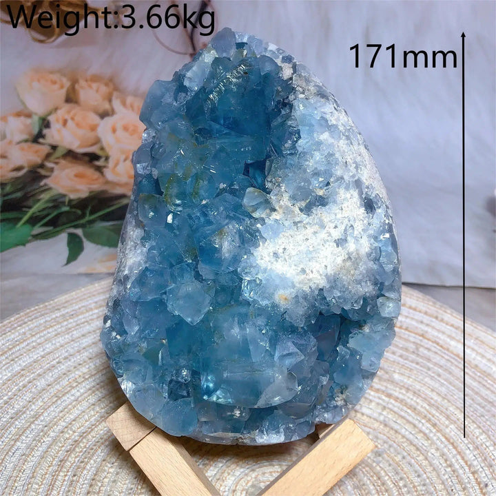 Blue Celestite Large Egg Geode