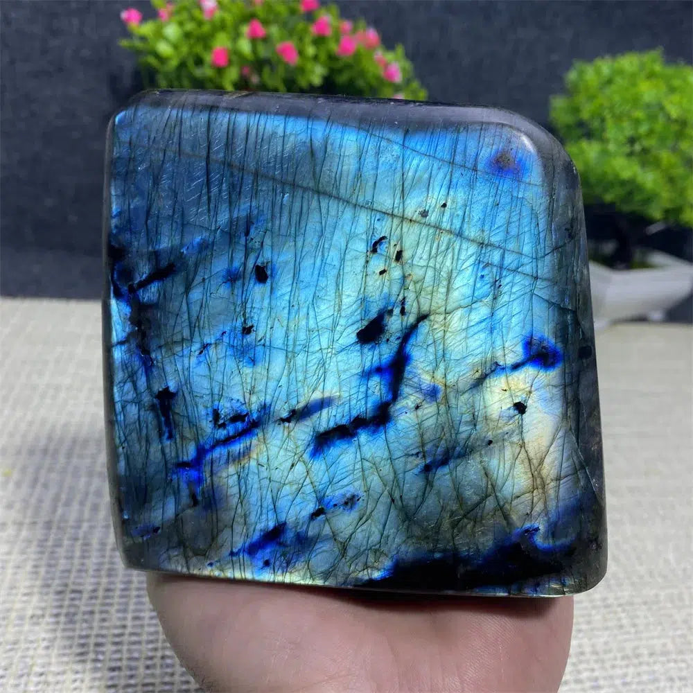 Blue Labradorite Freeform