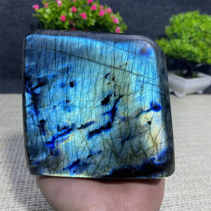 Blue Labradorite Freeform