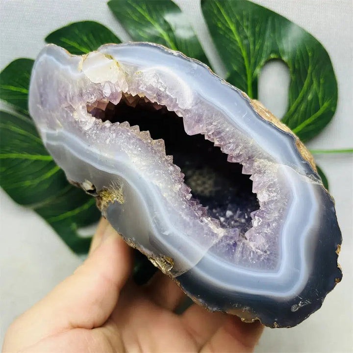 Brazilian Agate Amethyst Geode