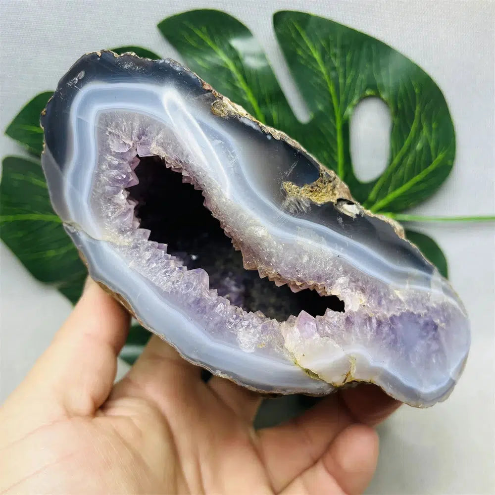 Brazilian Agate Amethyst Geode