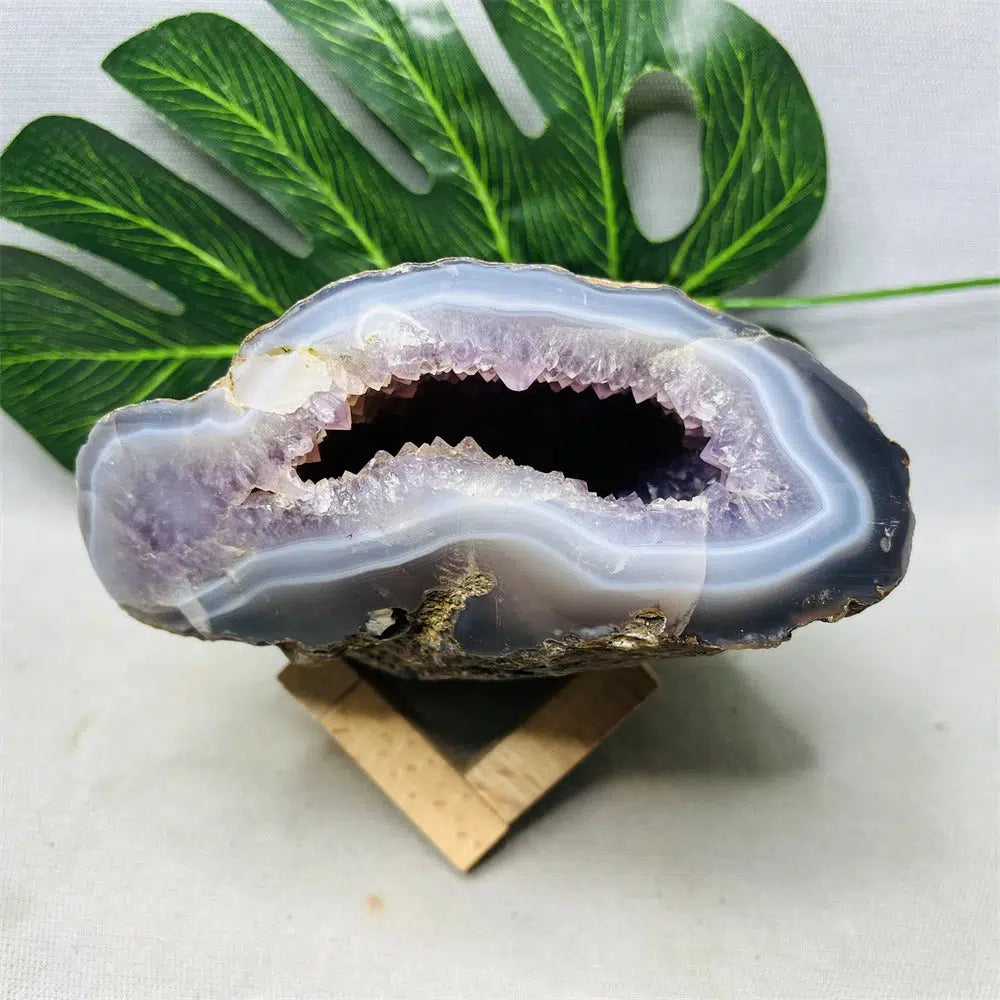 Brazilian Agate Amethyst Geode