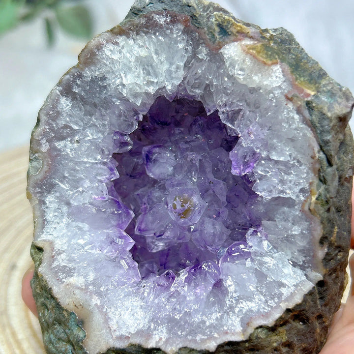 Brazilian Amethyst Geode