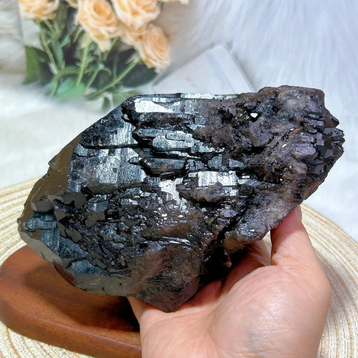 Brazilian Black Quartz Skeletal Cluster