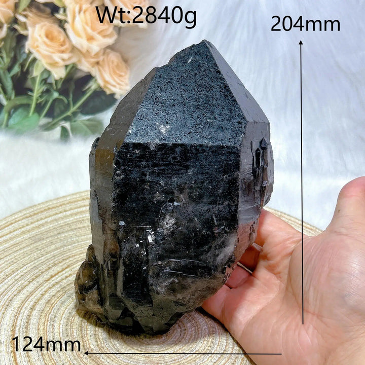 Brazilian Black Quartz Skeletal Cluster