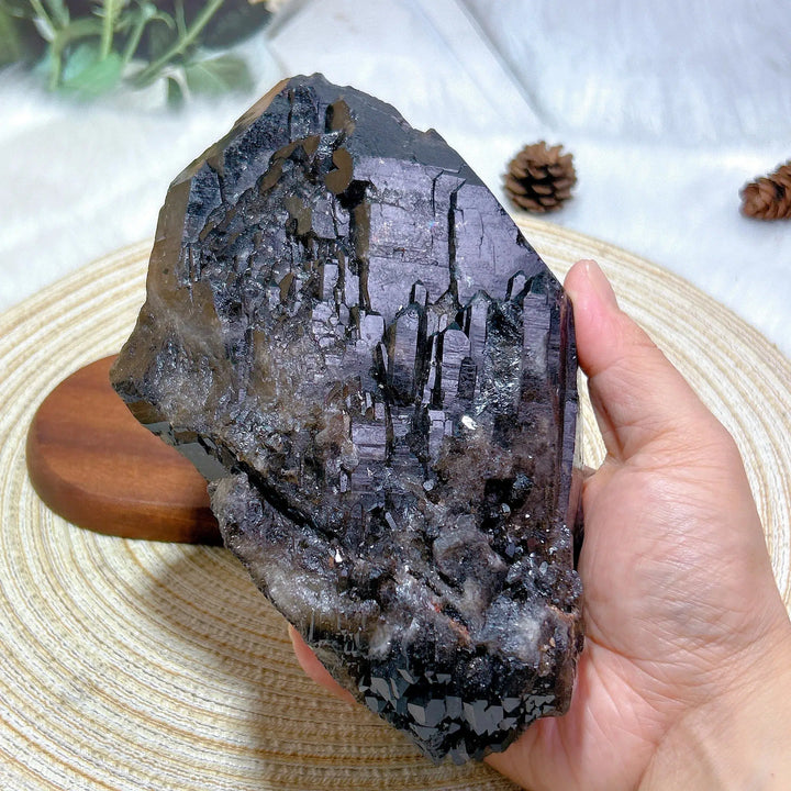 Brazilian Black Quartz Skeletal Cluster