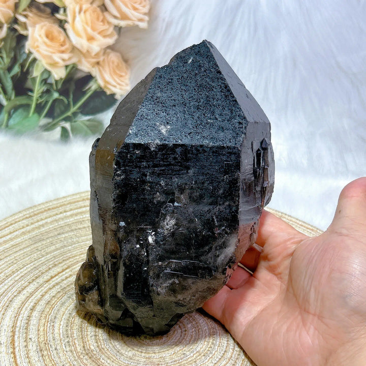 Brazilian Black Quartz Skeletal Cluster