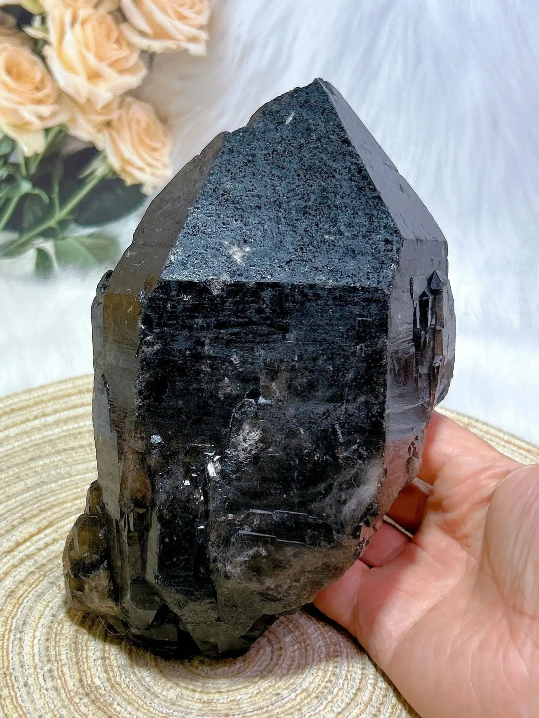 Brazilian Black Quartz Skeletal Cluster