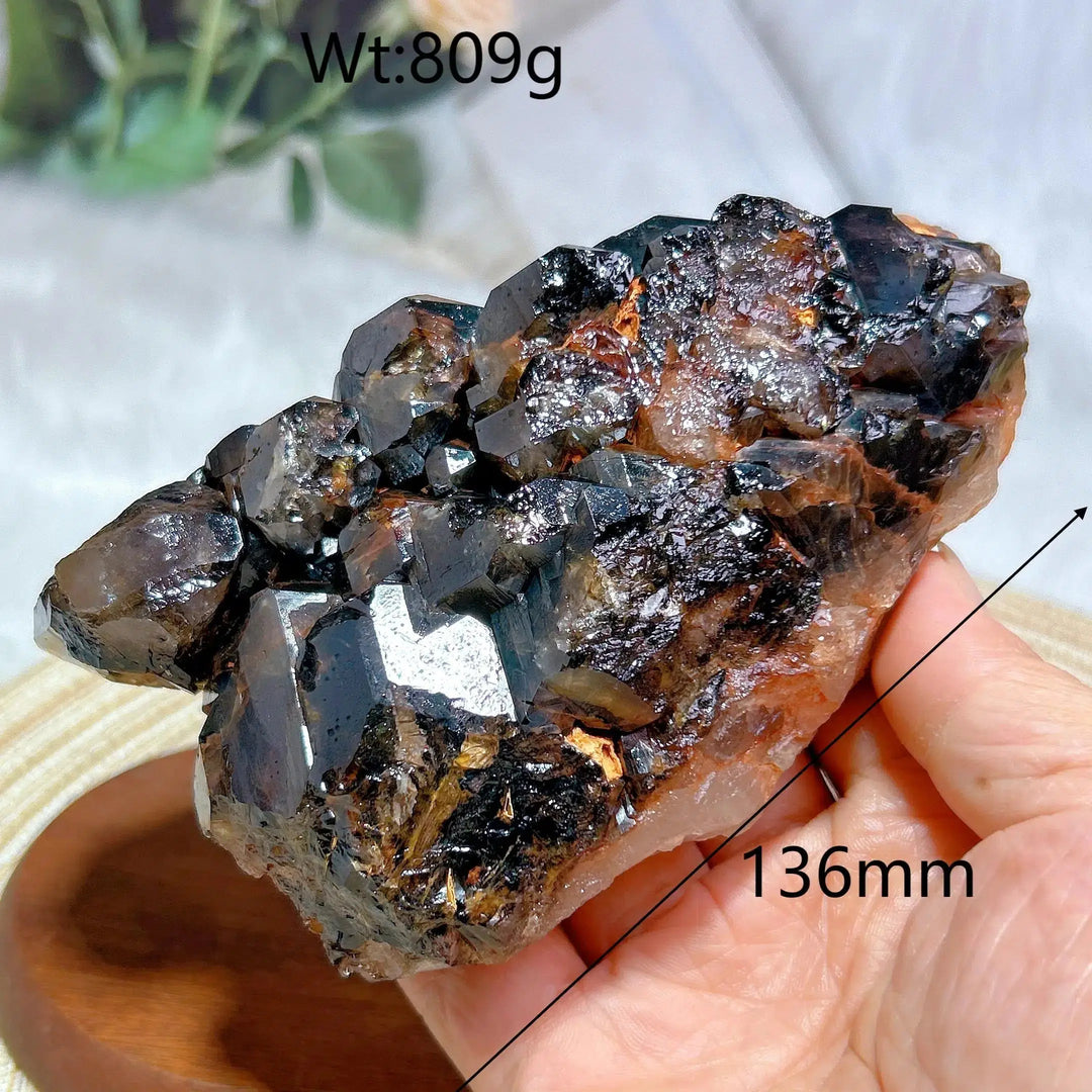 Brazilian Skeletal Black Quartz Cluster