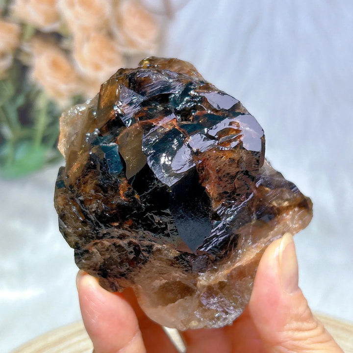 Brazilian Skeletal Black Quartz Cluster