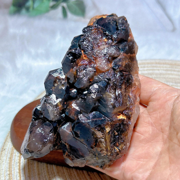 Brazilian Skeletal Black Quartz Cluster