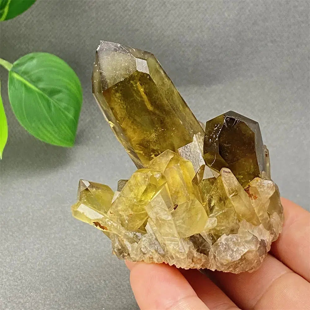 Brazilian Smoky Quartz Cluster