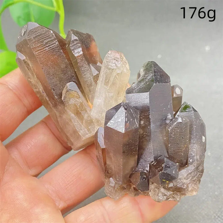 Brazilian Smoky Quartz Cluster