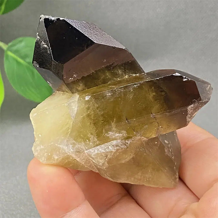 Brazilian Smoky Quartz Cluster