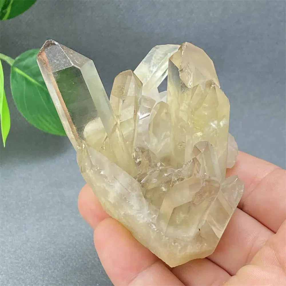 Brazilian Smoky Quartz Cluster