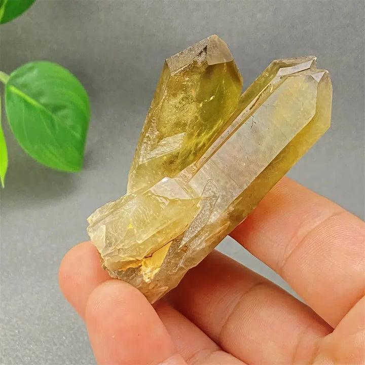 Brazilian Smoky Quartz Cluster