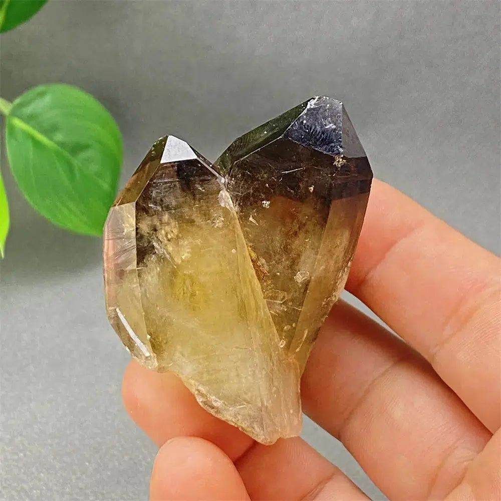 Brazilian Smoky Quartz Cluster