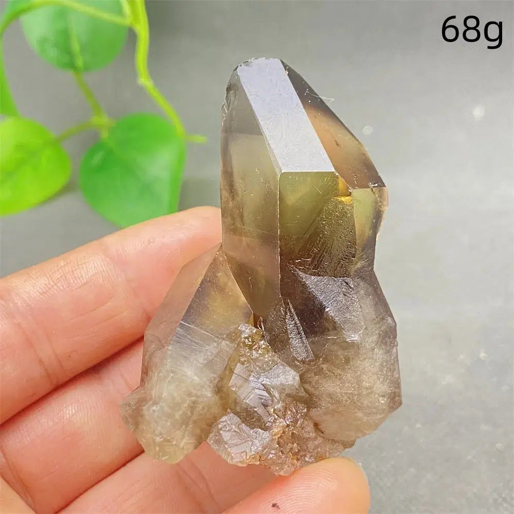 Brazilian Smoky Quartz Cluster