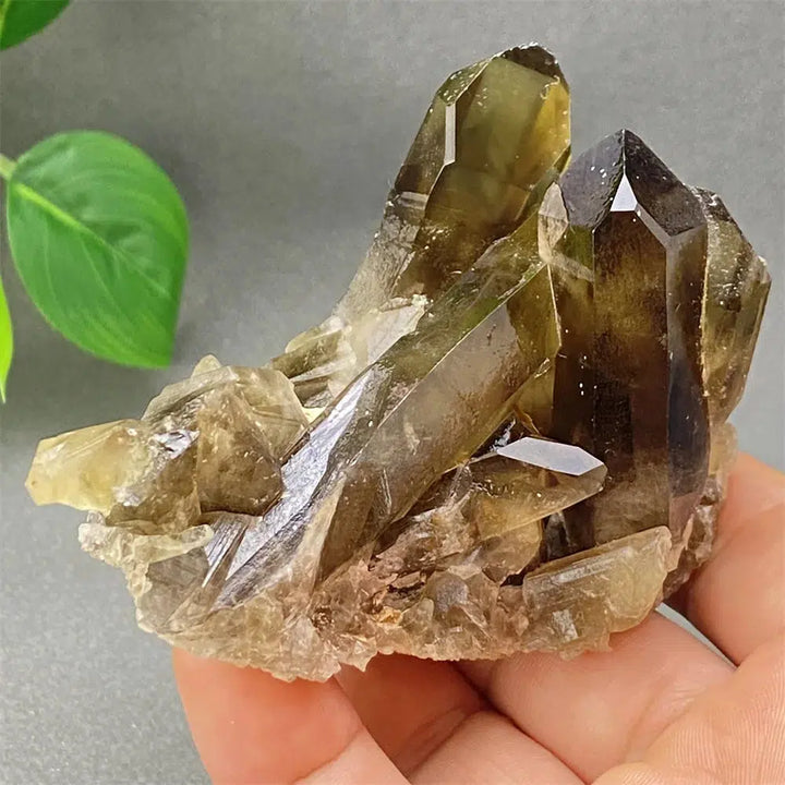 Brazilian Smoky Quartz Cluster