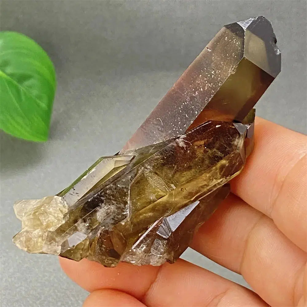 Brazilian Smoky Quartz Cluster