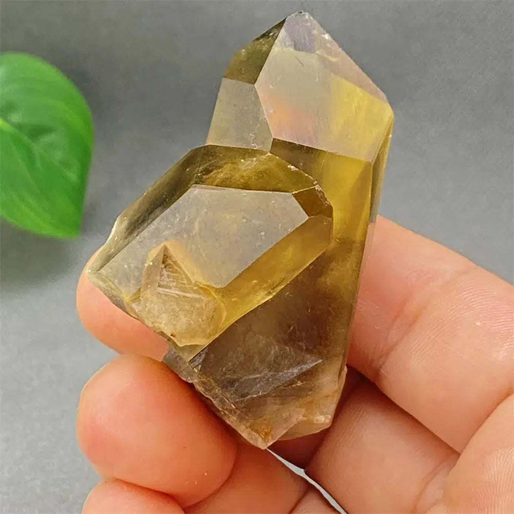 Brazilian Smoky Quartz Cluster