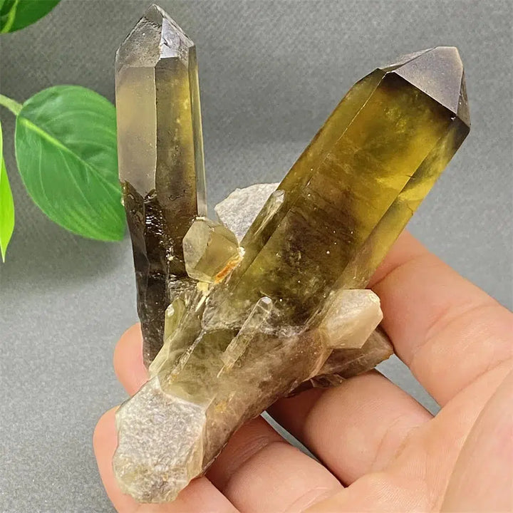 Brazilian Smoky Quartz Cluster