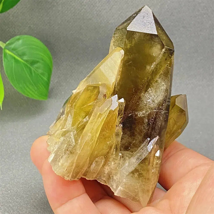 Brazilian Smoky Quartz Cluster