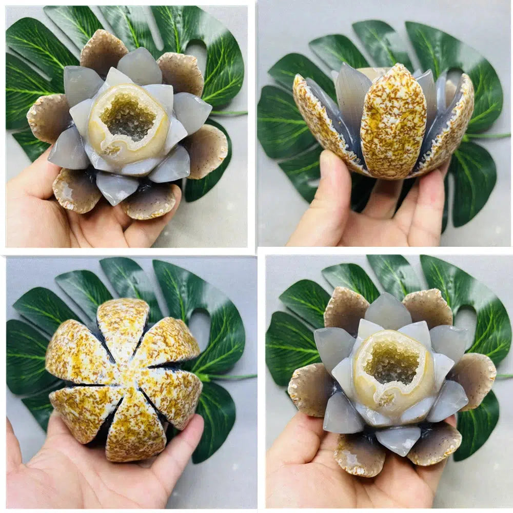 Buddhist Treasure Agate Geode Agate Lotus Flower