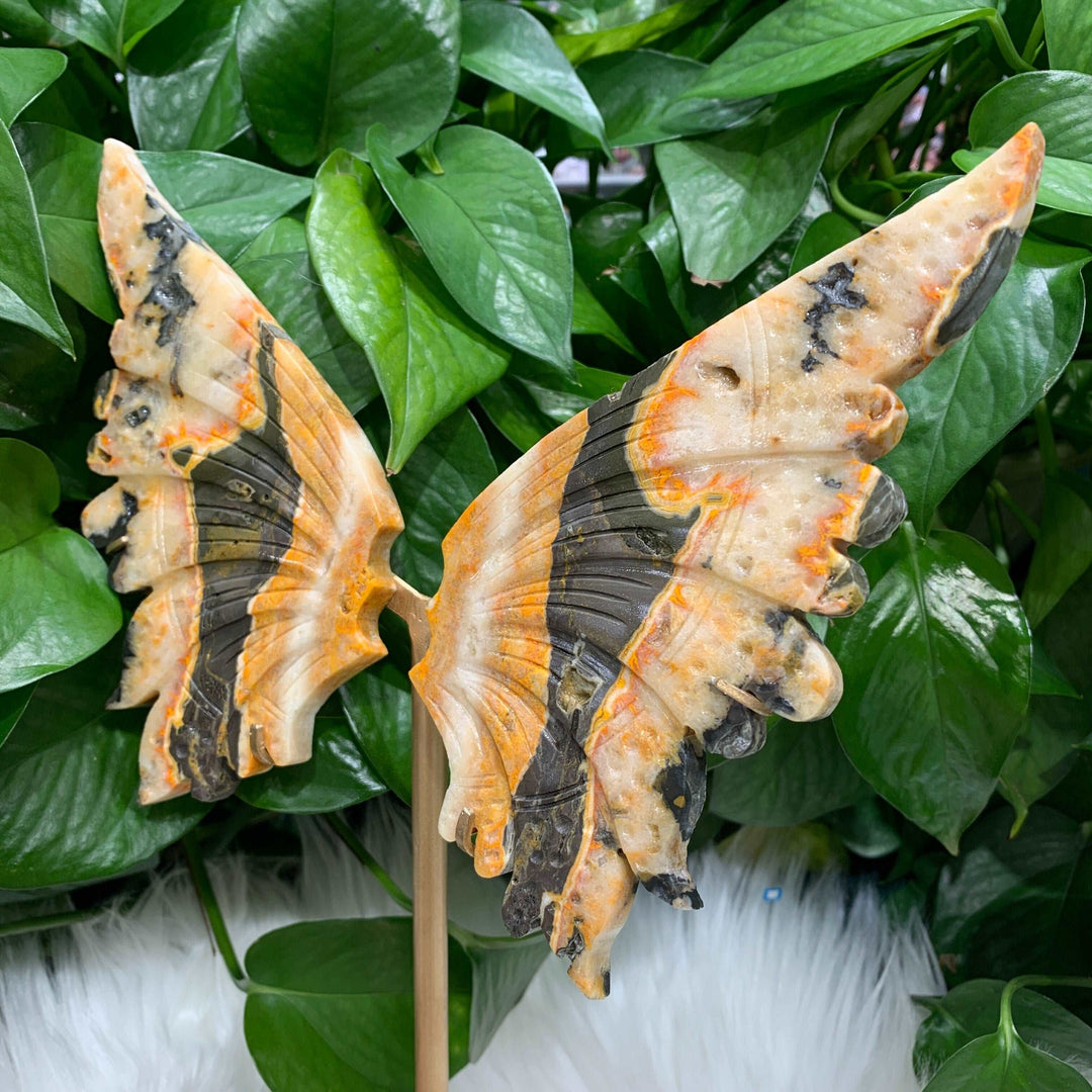 Bumblebee Jasper Carved Butterfly Wings