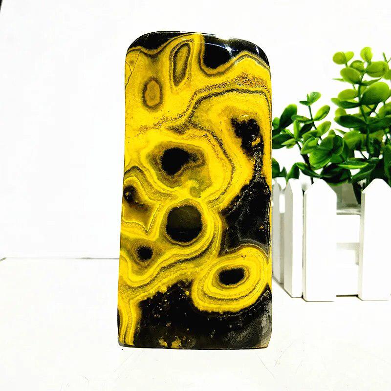 Bumblebee Jasper Freeform