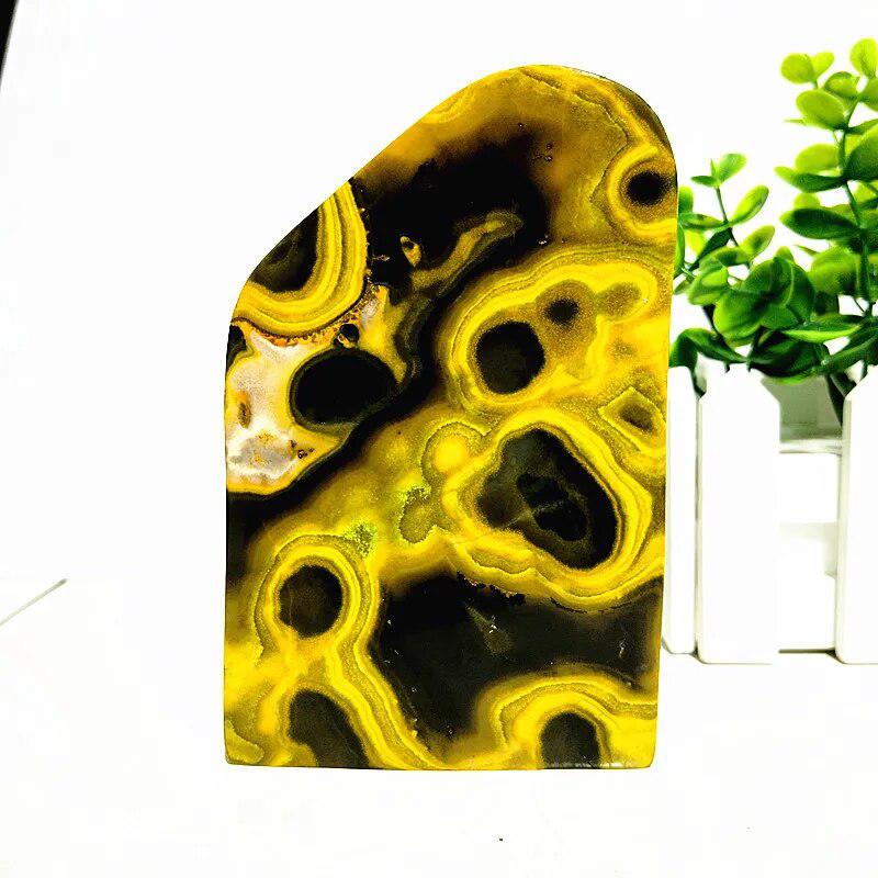 Bumblebee Jasper Freeform